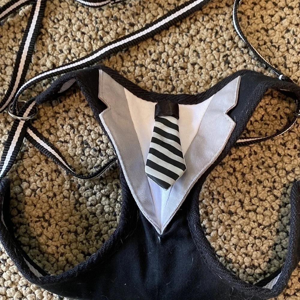 Tuxedo Dog Harness and Leash Size Small Worn Once in EUC